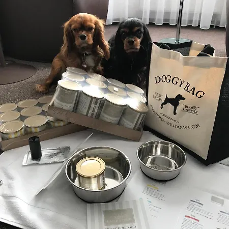 Sapia Rheinsberg Hotel 4*