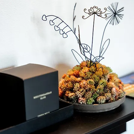 Sapia Rheinsberg Bad Säckingen